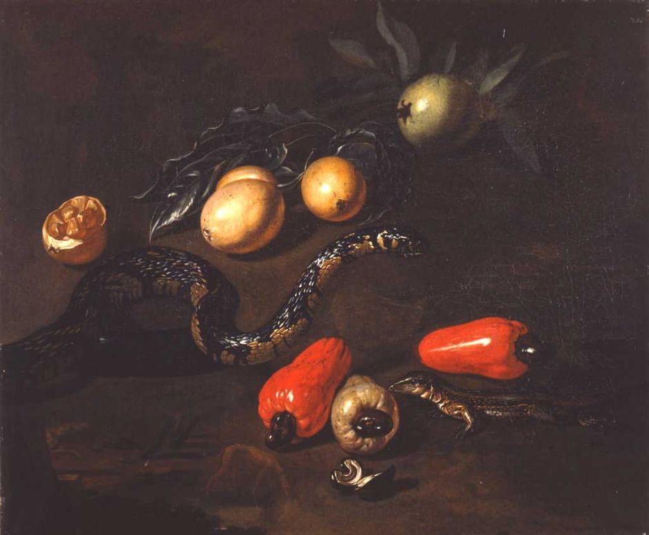 Dirk Valkenburg (1675-1721) "Fruits du Surinam et reptiles", 1706-1708- Huile sur toile, 40,5 x 48,5 cm - musée des beaux-arts de Quimper © musée des beaux-arts de Quimper (Voir légende ci-après)